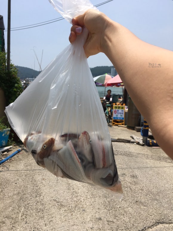 이뿐네 이미지