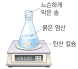 화평화학 이미지