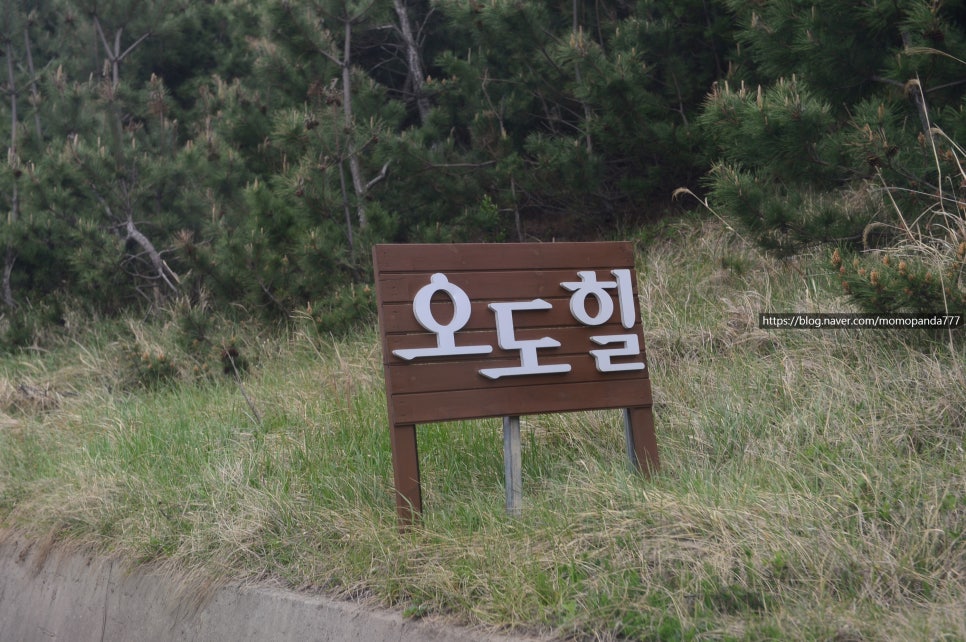 오도힐 이미지