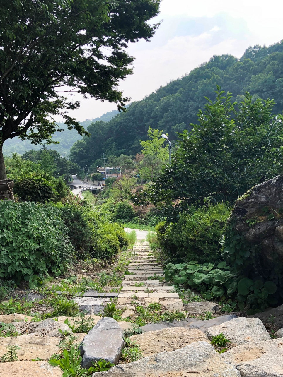 카페무릉농원 이미지