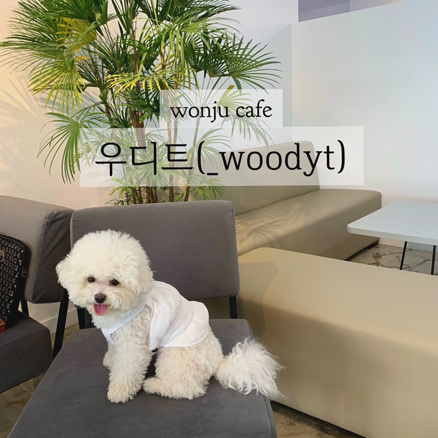 우디트 이미지