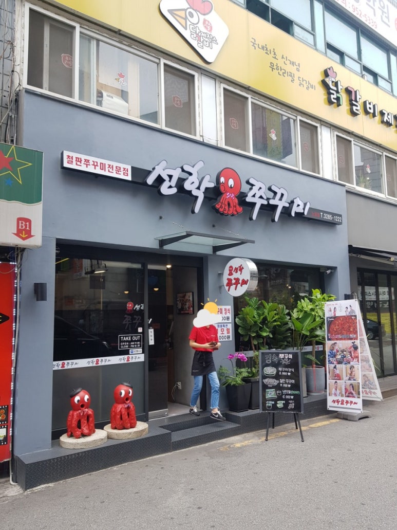 선학모밀 이미지