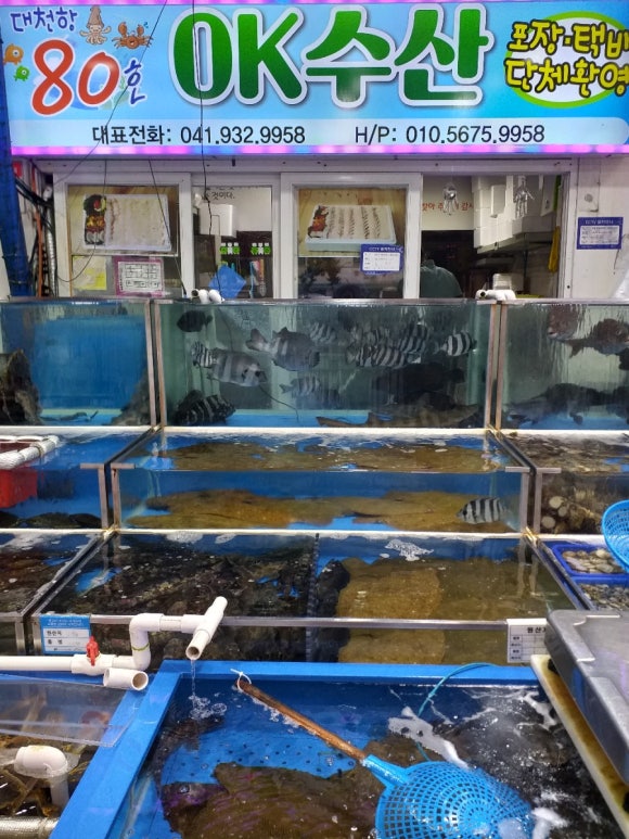 O.K수산 이미지