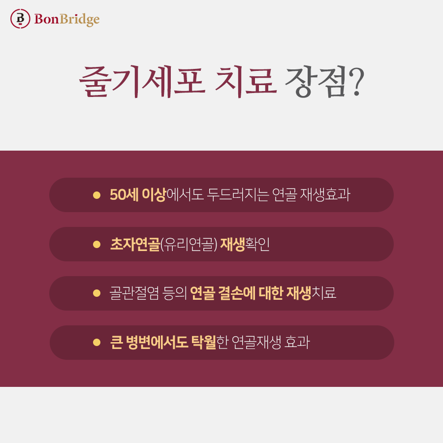 서울정형외과 이미지
