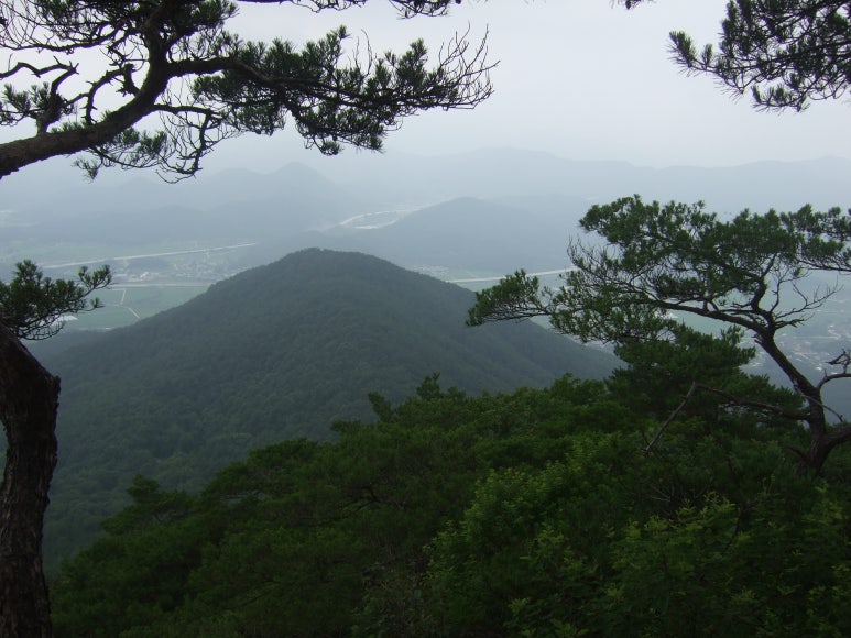 천우사 이미지