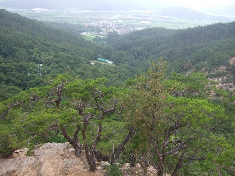 천우사 이미지