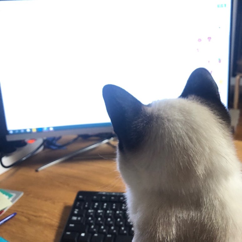 꿉다 이미지