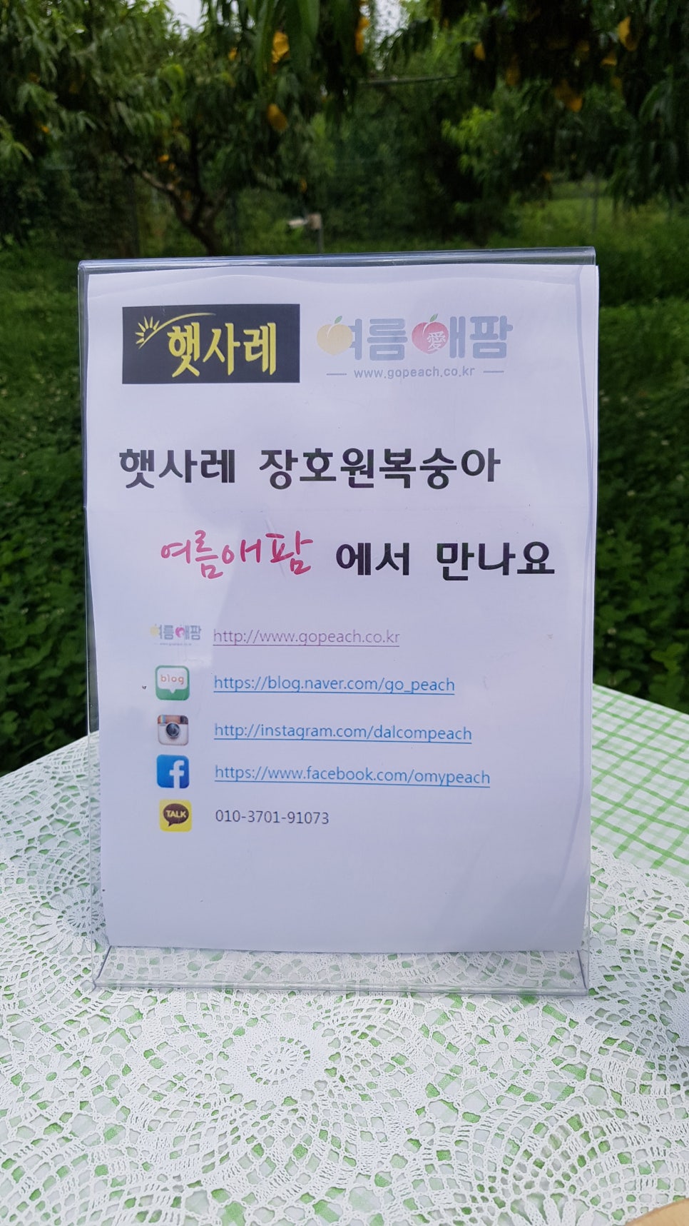 여름애팜 이미지