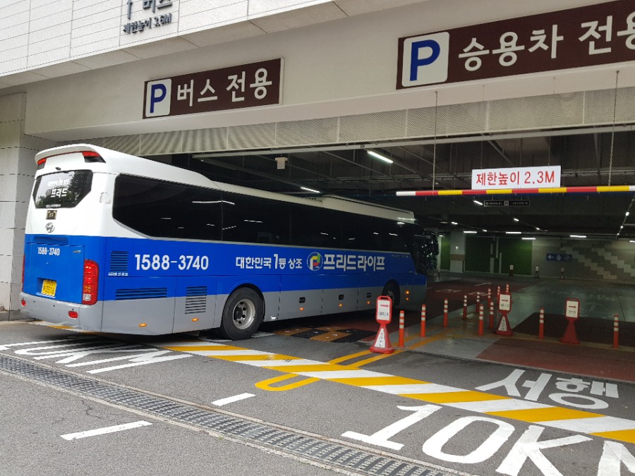 프리드강동본부 이미지