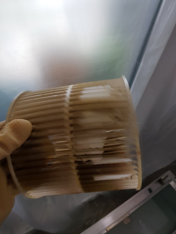 바람돌이클린 이미지