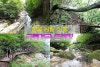 지리산 구룡계곡 트레킹~! (남원 구룡폭포 순환코스) : 네이버 블로그
