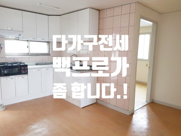 금화장 이미지
