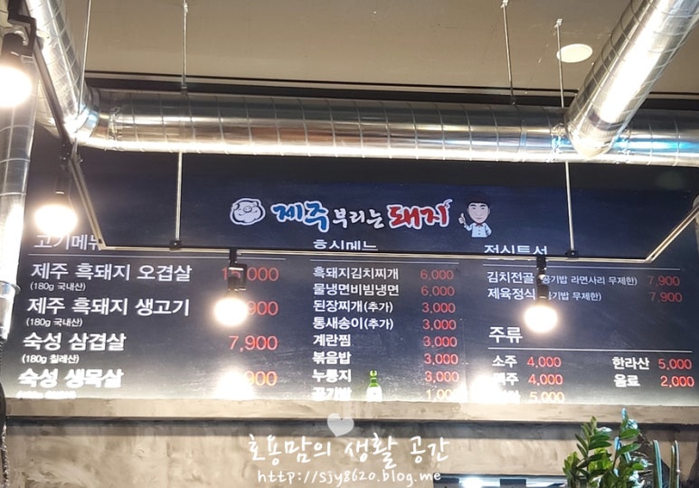 제주부리는돼지 이미지