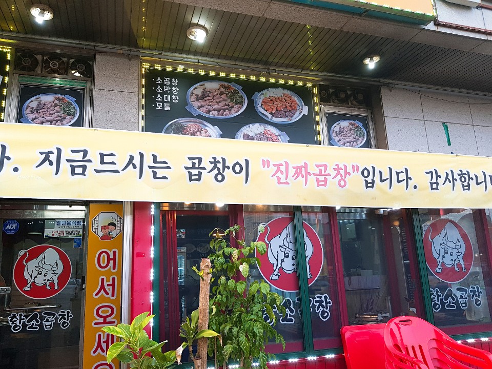 황가네황소곱창 이미지