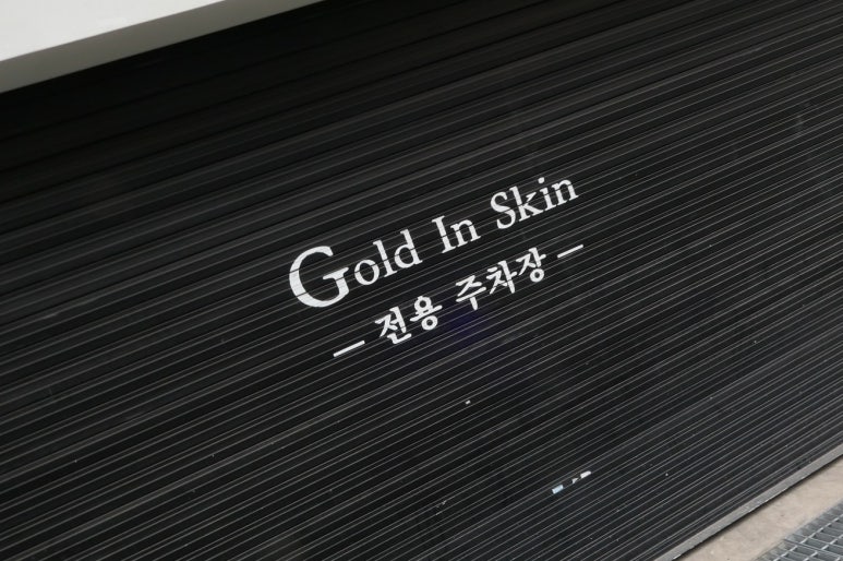 골드인스킨 이미지