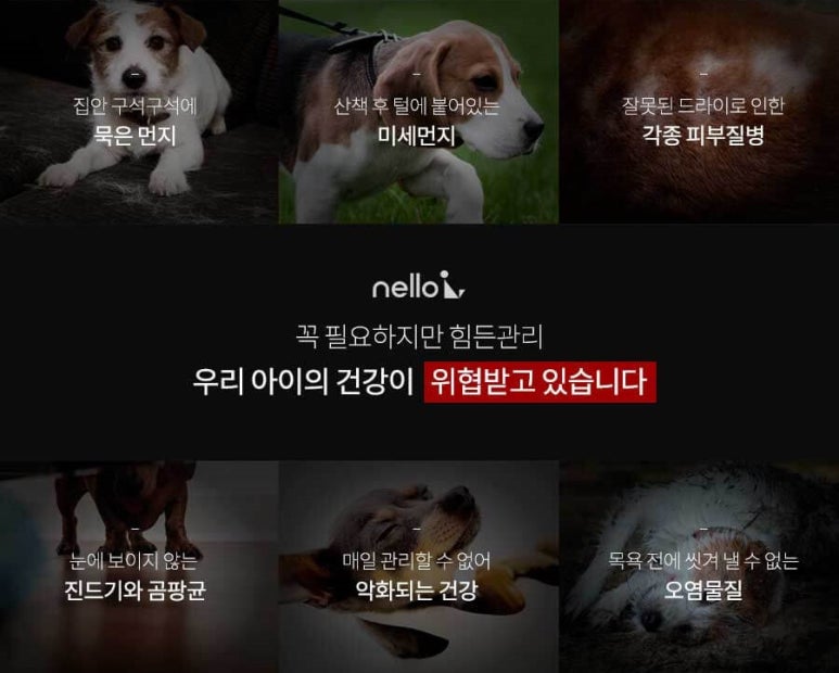 드라이세상 이미지