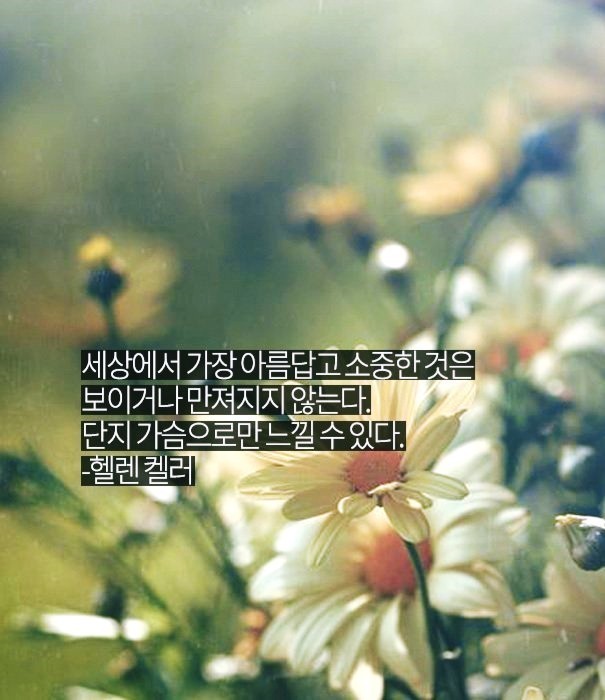 람바다 이미지
