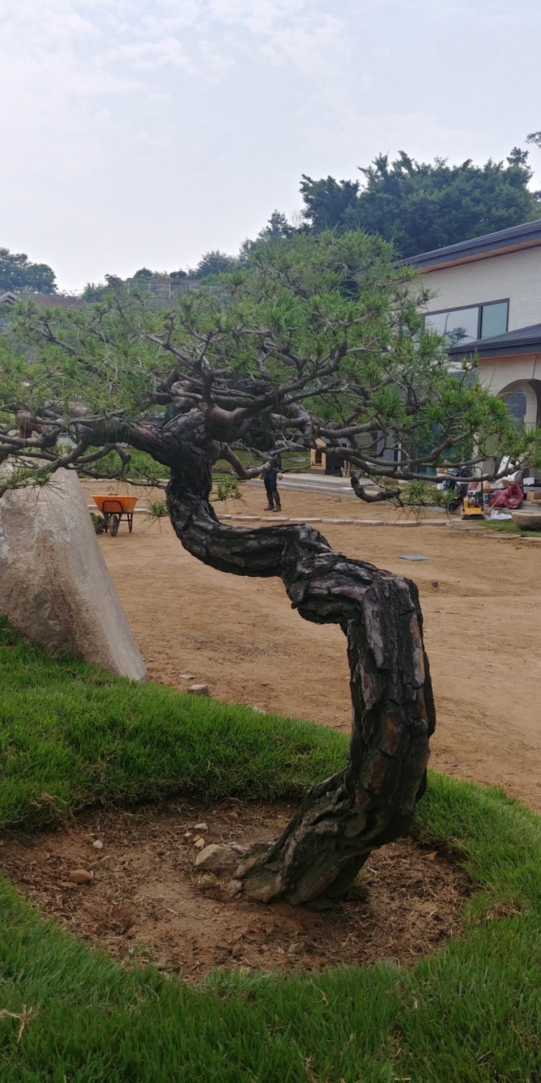 태경조경 이미지