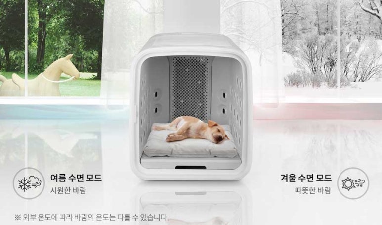 드라이세상 이미지