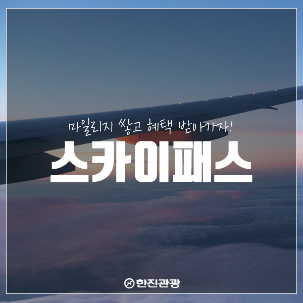 대한스카이 이미지