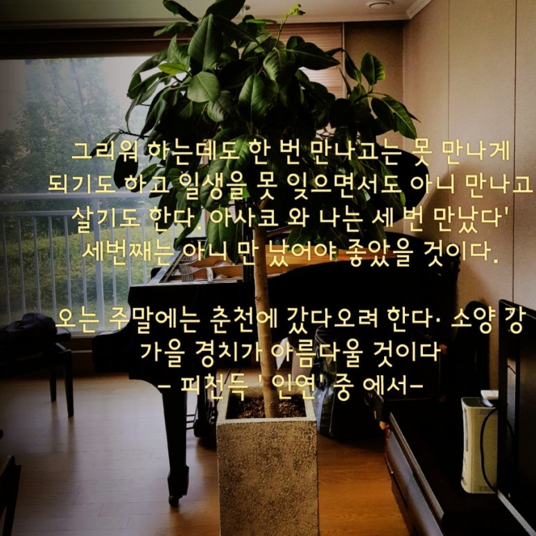이레피아노교습소 이미지