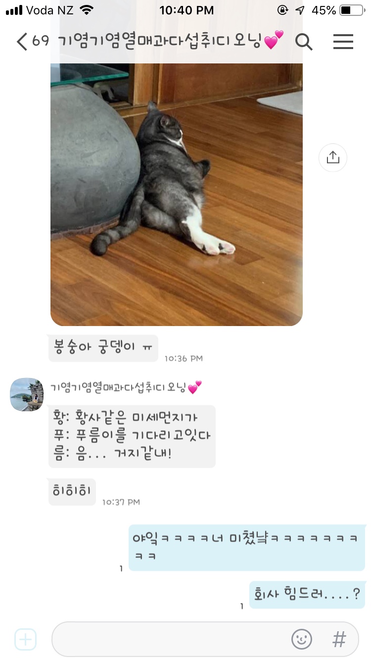 슈가멜로우 이미지