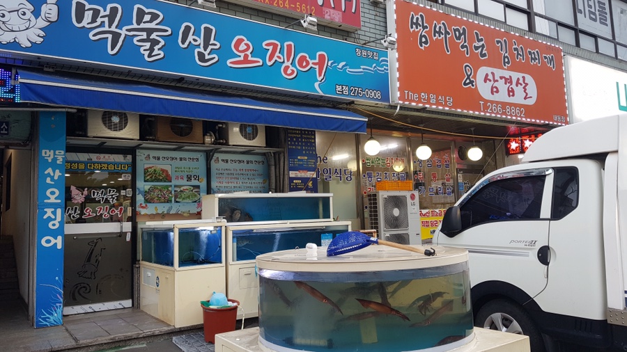 먹물산오징어 이미지