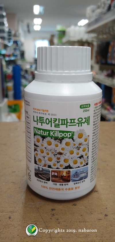 새나투어 이미지