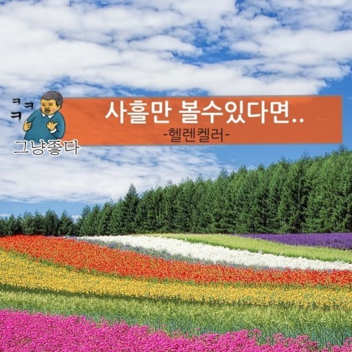 람바다 이미지