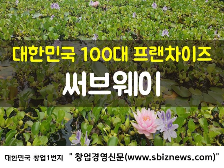홀리카홀리카홈플러스 이미지