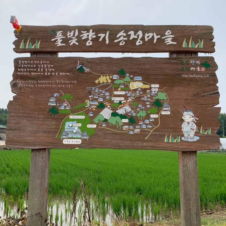 녹색농촌체험장 이미지
