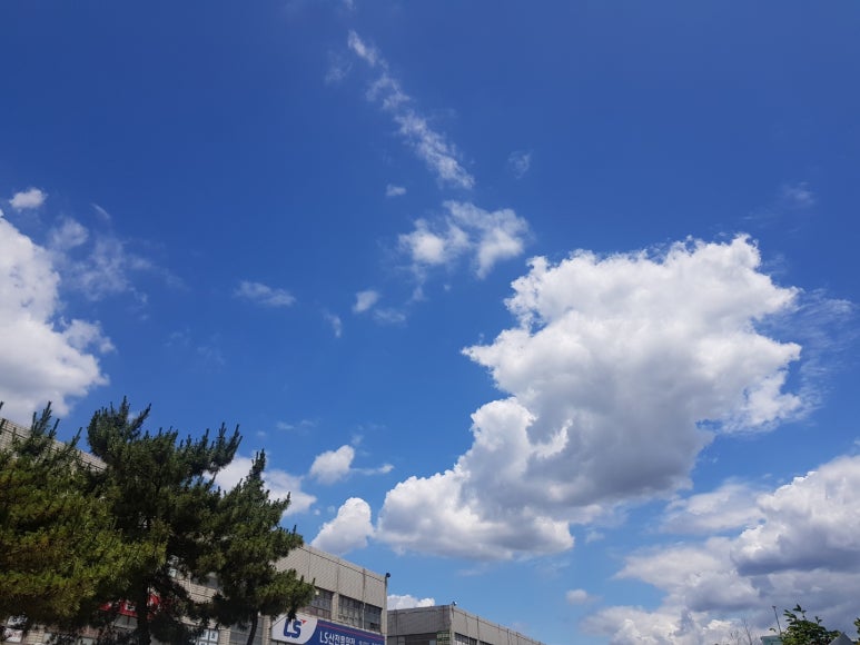 경성유통 이미지