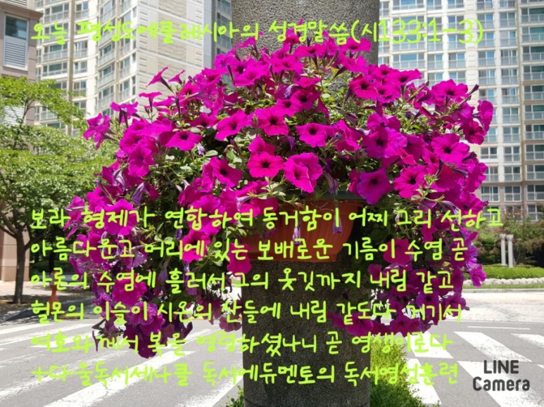다울에듀 이미지