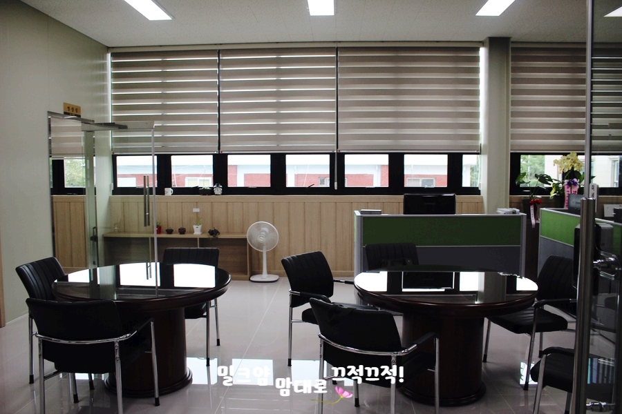 엠제이푸드 이미지