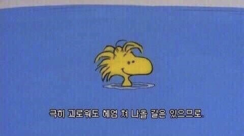비발디투어 이미지