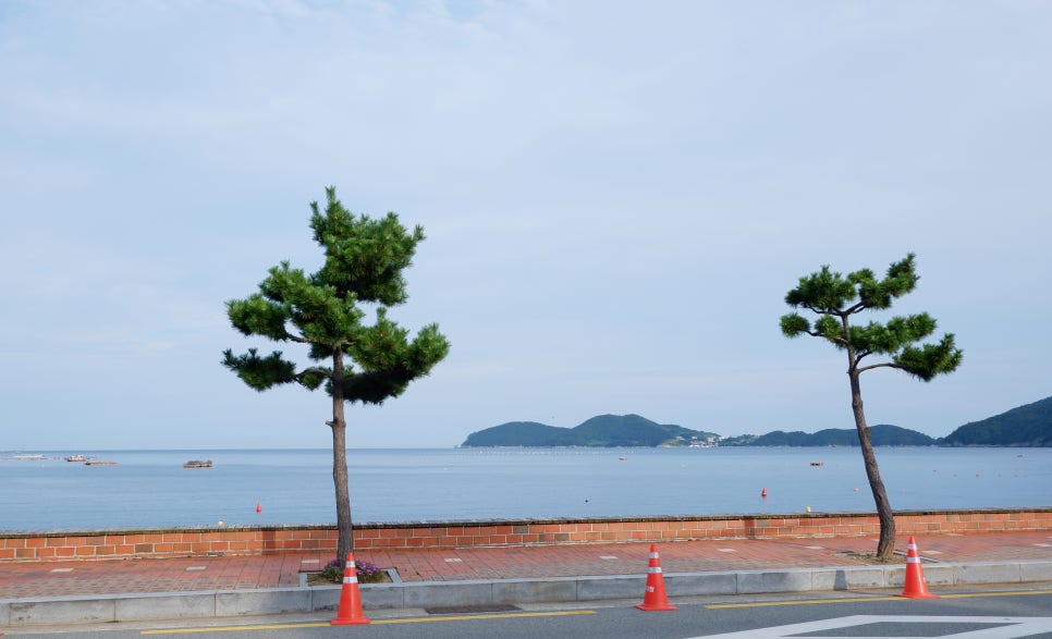 송월학횟집 이미지