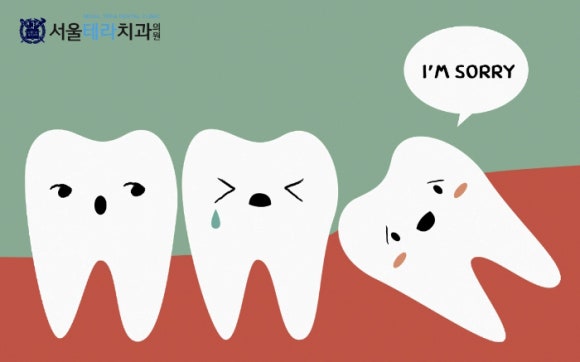 서울테라치과 이미지