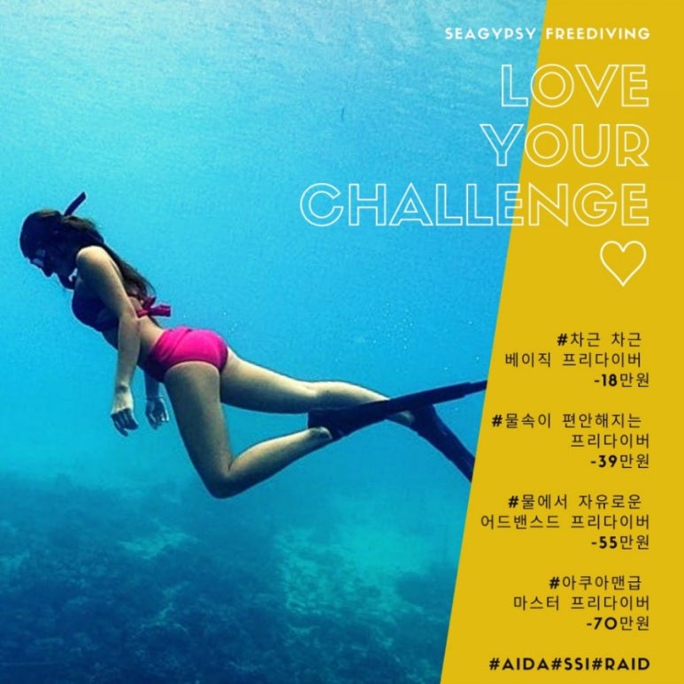 씨집시 이미지