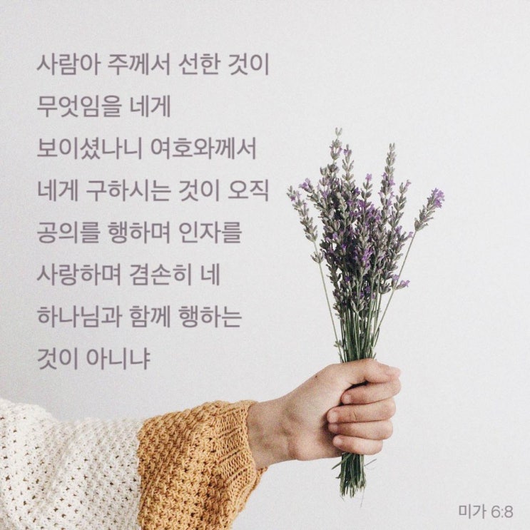 주 미가 이미지