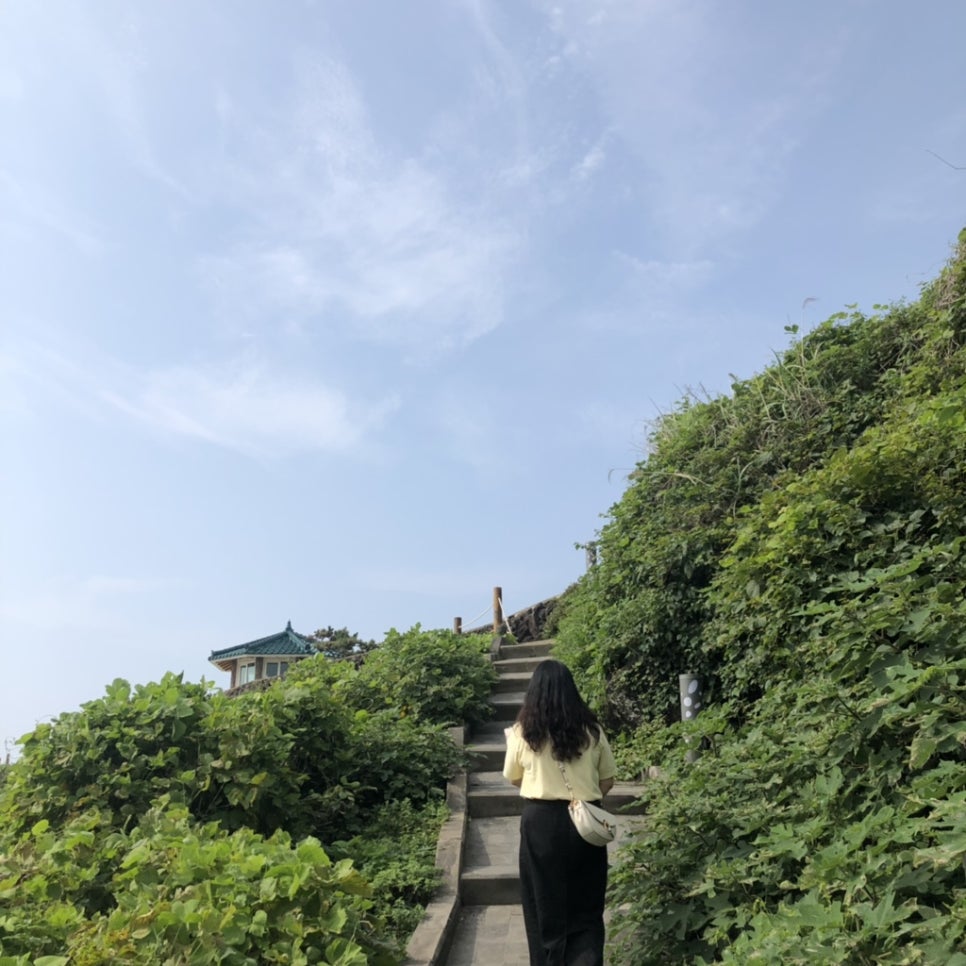 수민박 이미지