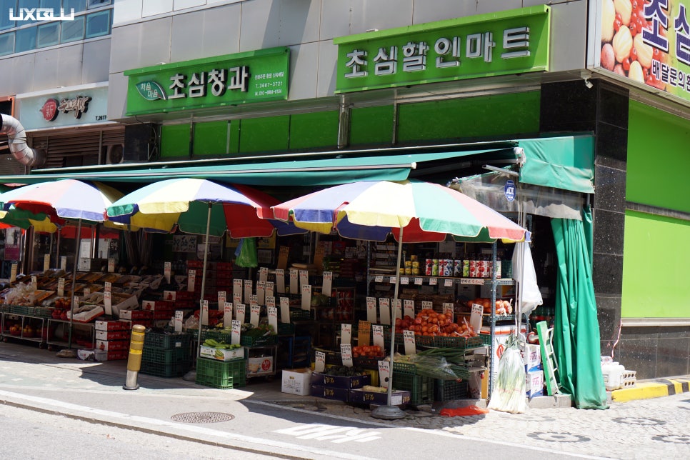 초심청과 이미지