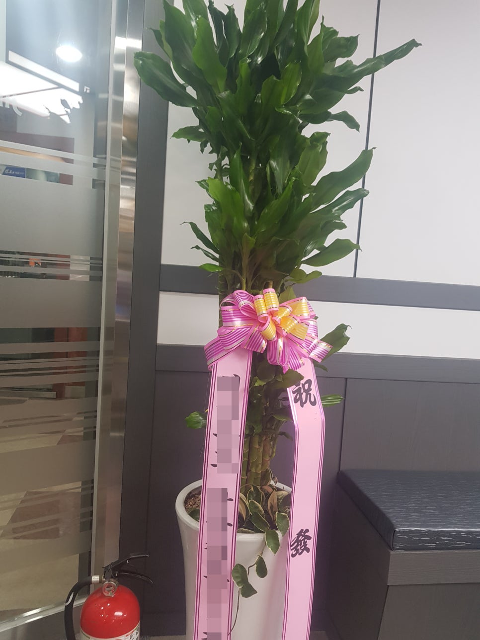 진당구장 이미지