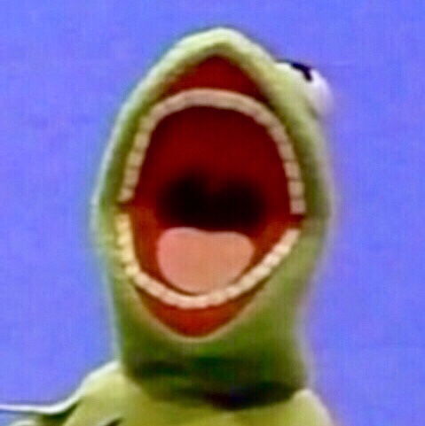 홍찌 이미지