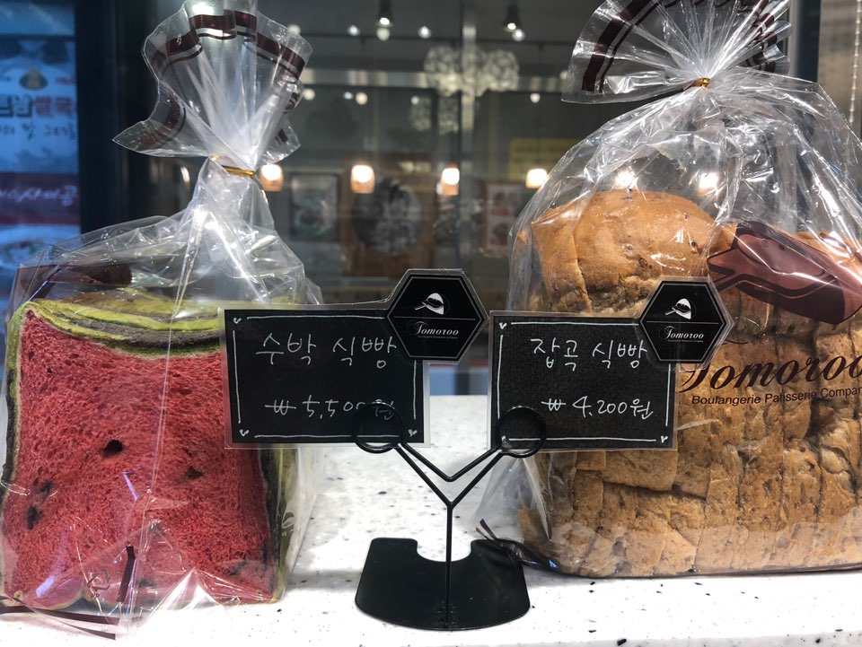토모루 이미지