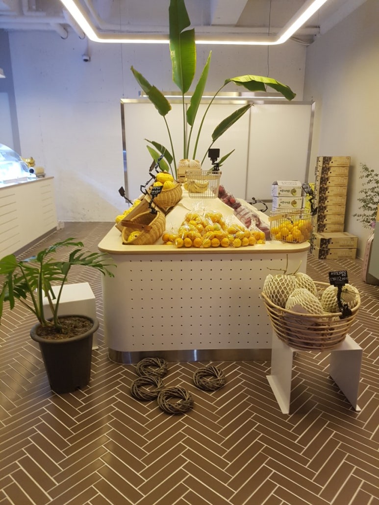 달쥬(DALJU) 이미지