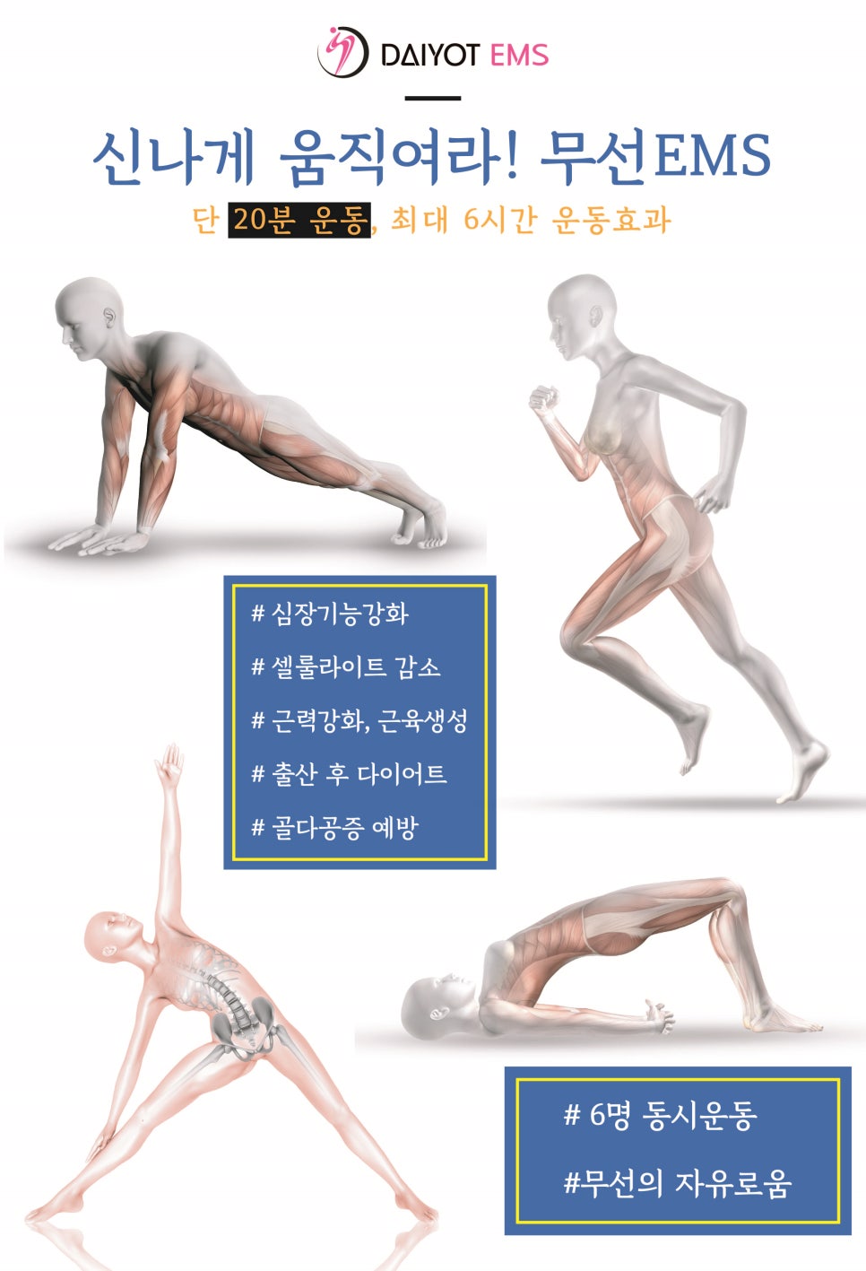 다욧이엠에스 이미지