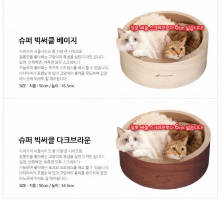 빅써클 이미지