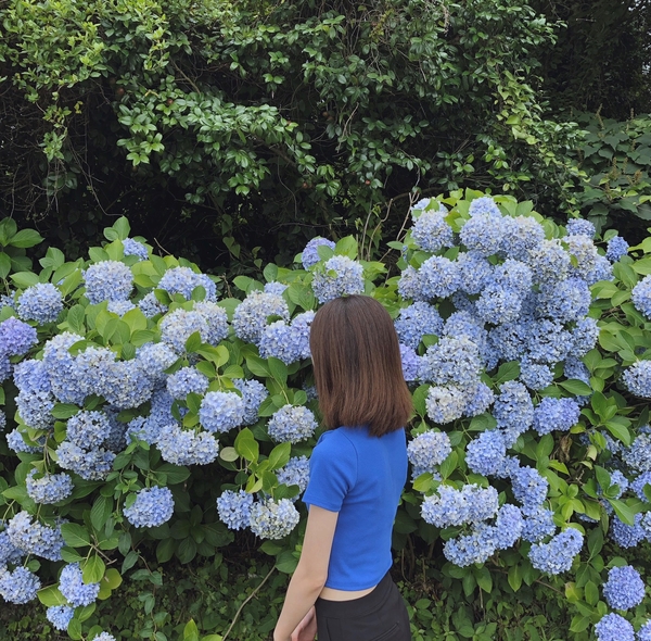 길용당 이미지