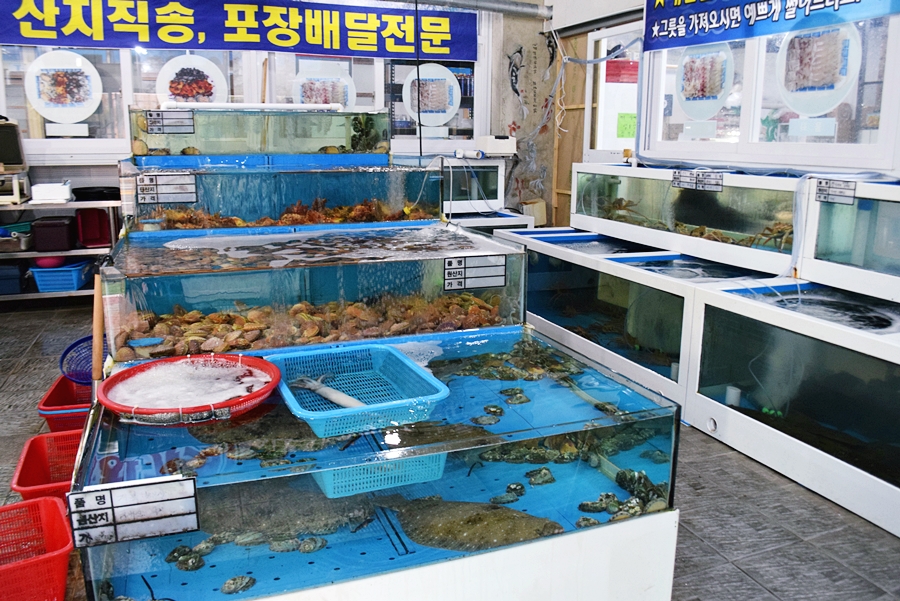 바다회일번지 이미지