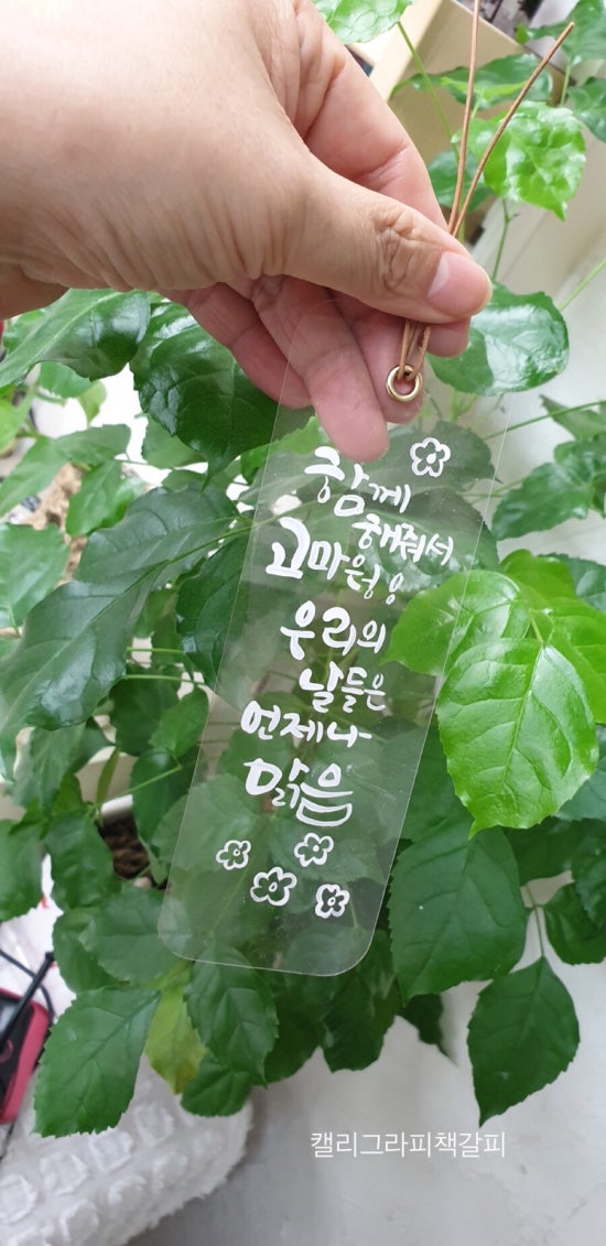 한국캘리그라피디자인센터 이미지